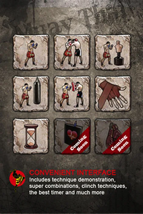 Thai Boxing For You: technique menu of strikes, clinches, pads and bag work